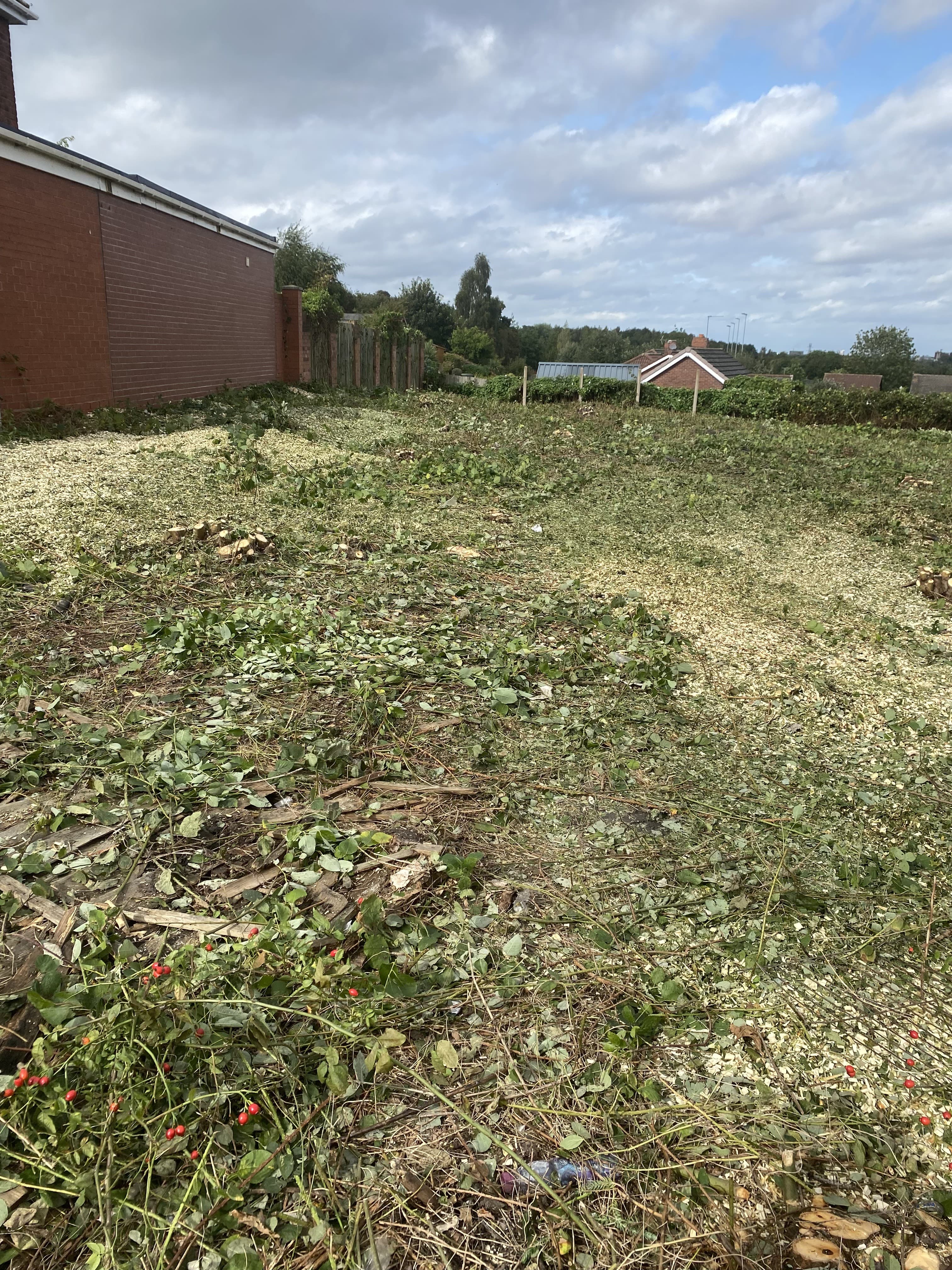 Cleared garden — after clearance