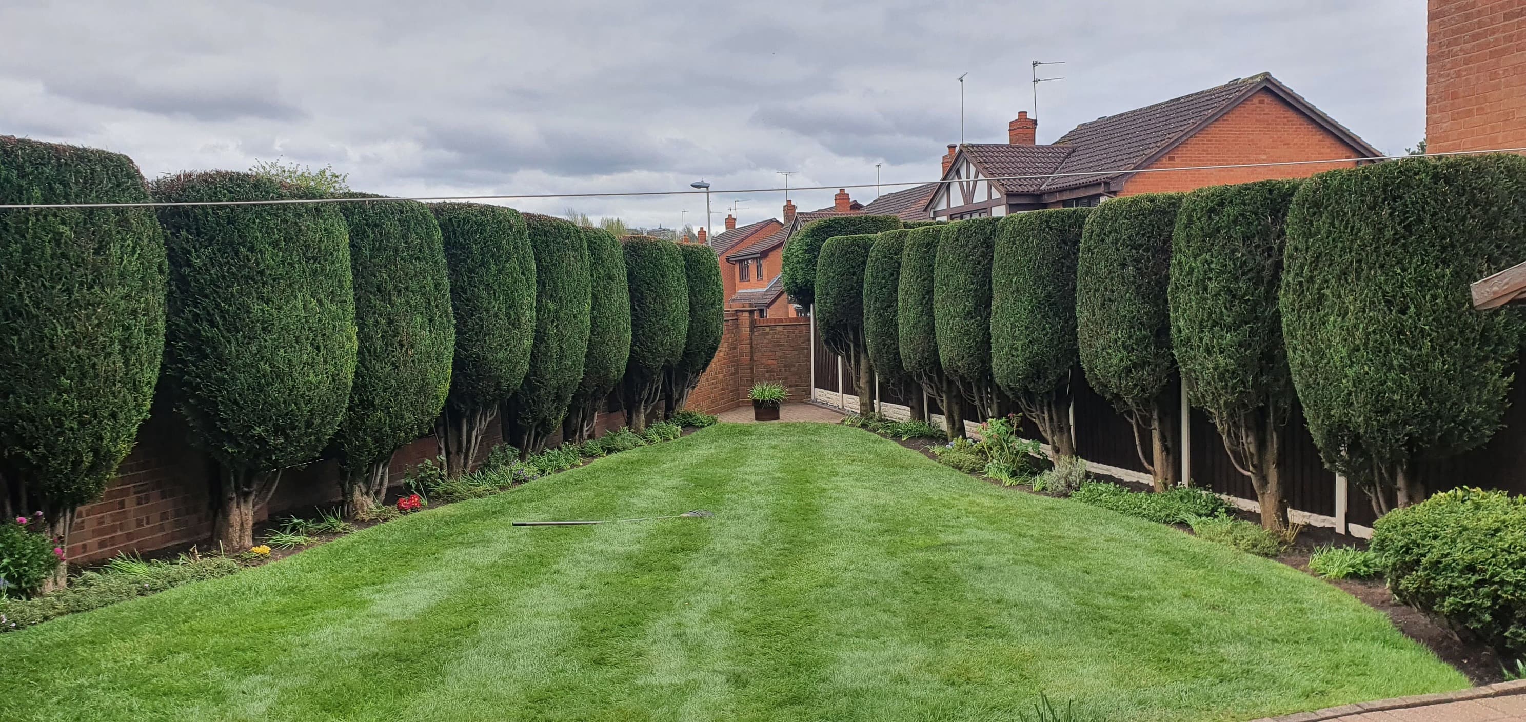 ARB Tree Services — professional tree surgeons