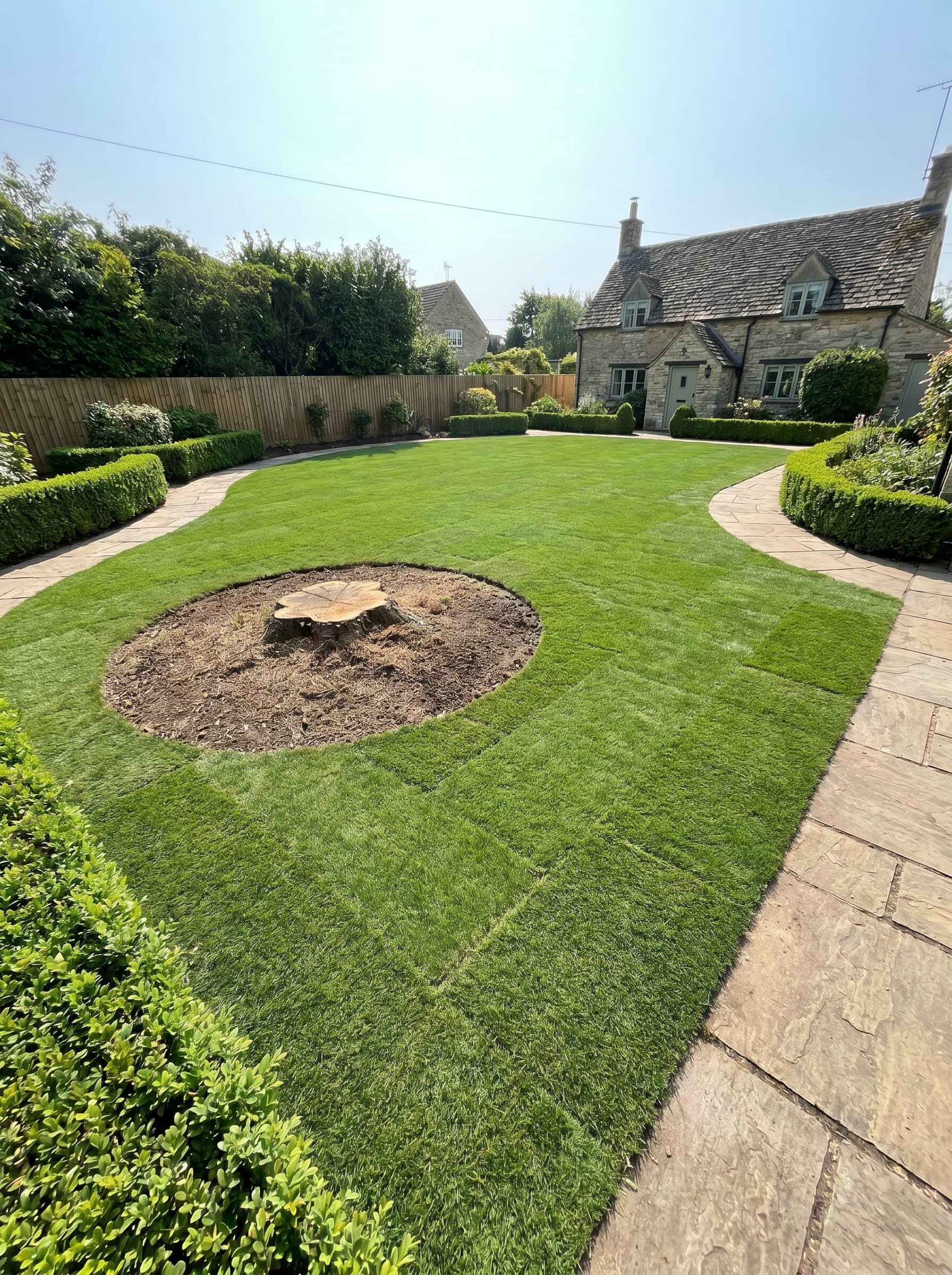 Tree Removal